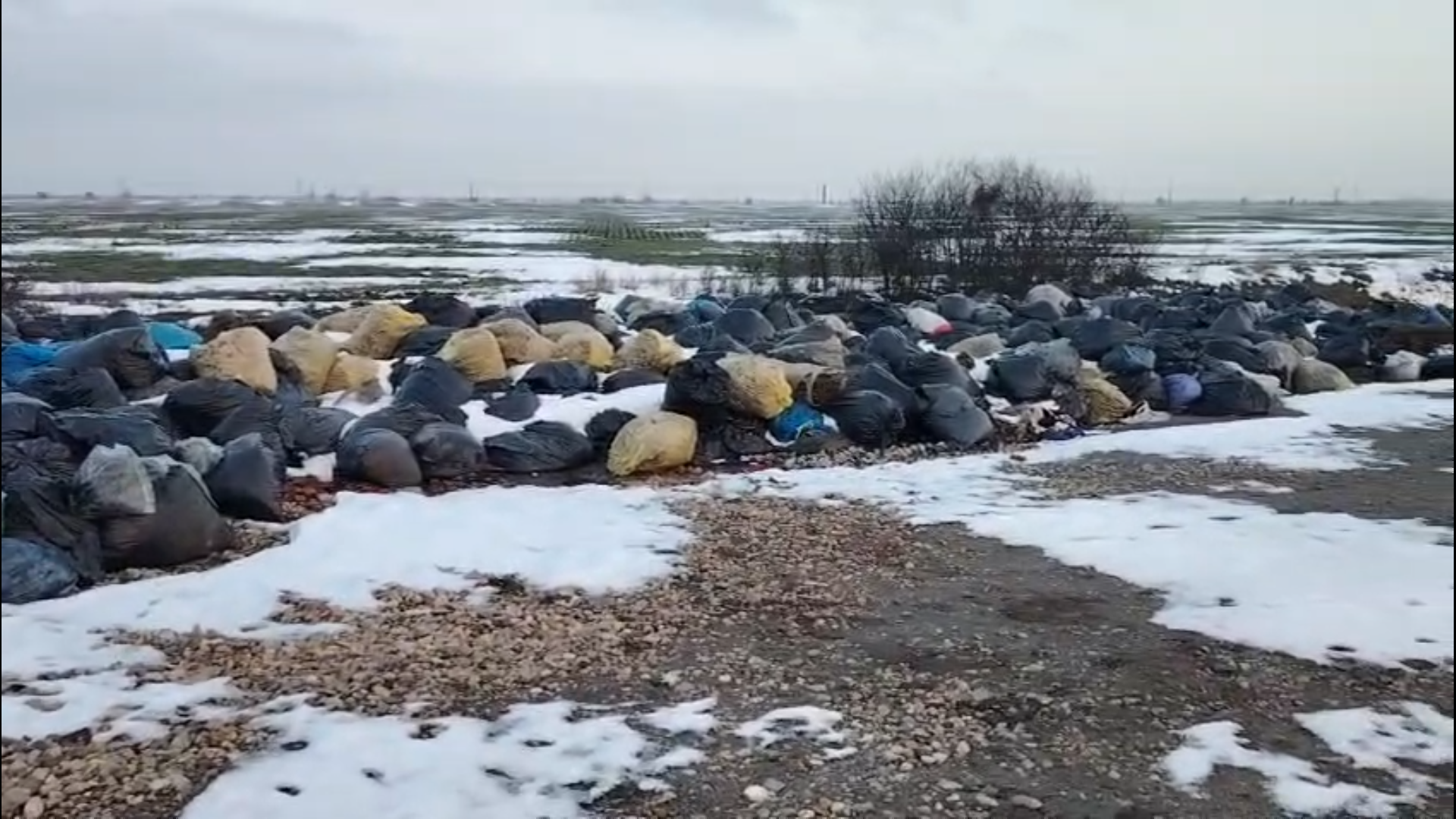 Captură ecran (4754)