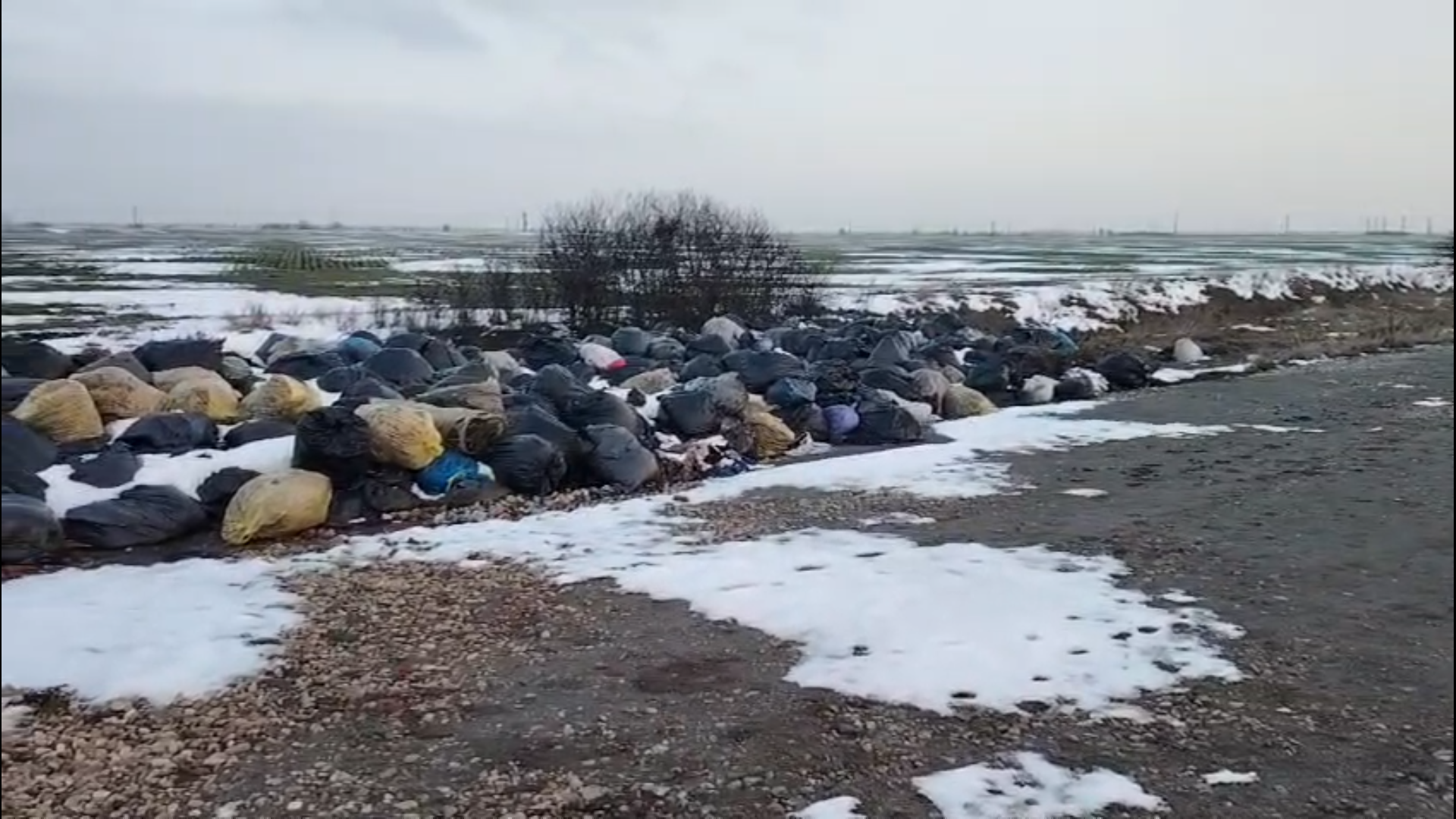 Captură ecran (4755)