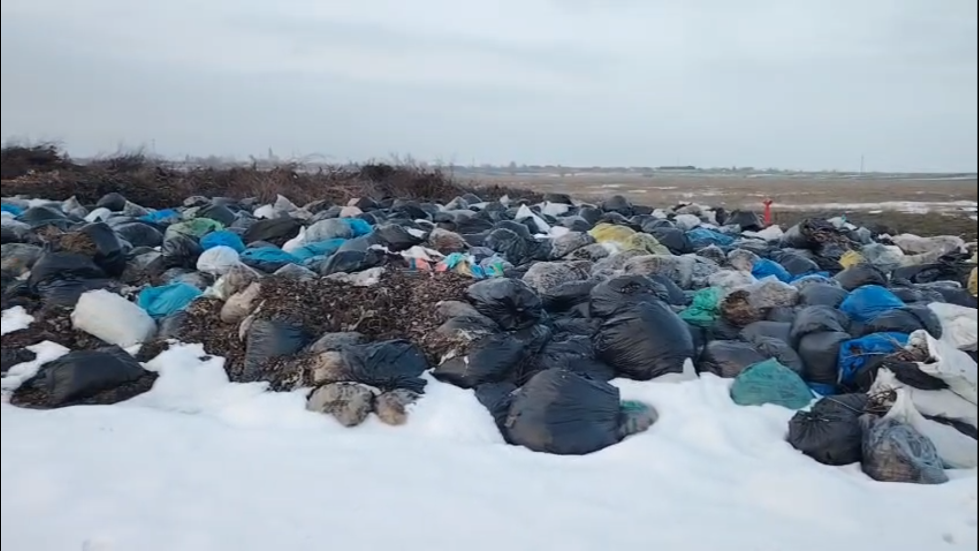 Captură ecran (4756)