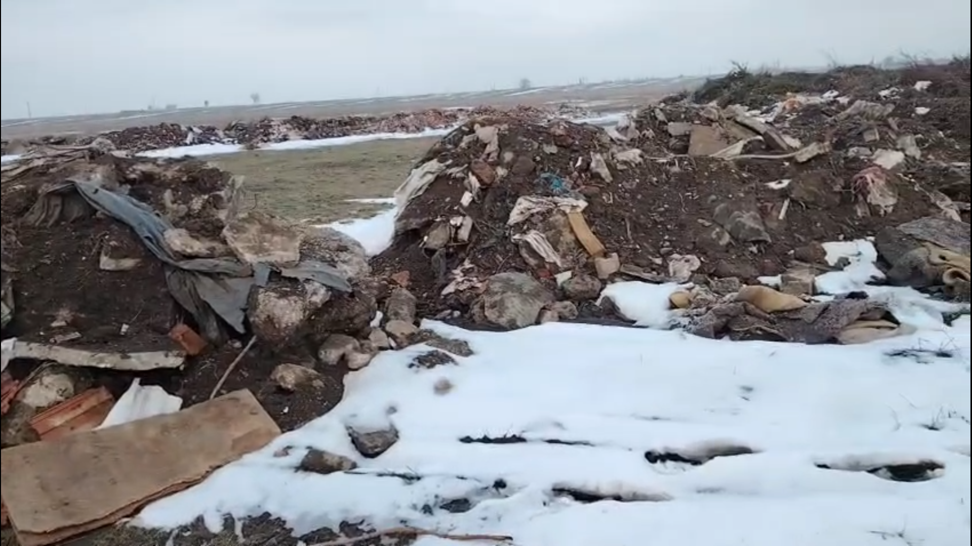 Captură ecran (4761)