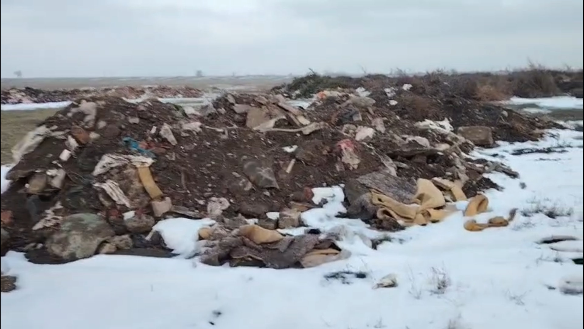 Captură ecran (4762)