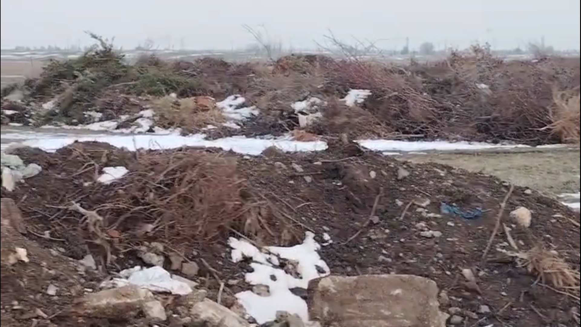 Captură ecran (4765)