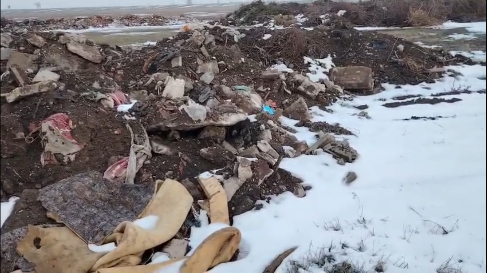 Captură ecran (4767)