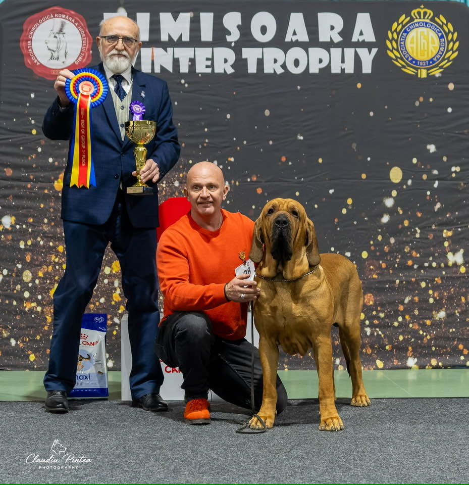 588818404_909701498674256_7965565889356187544_n