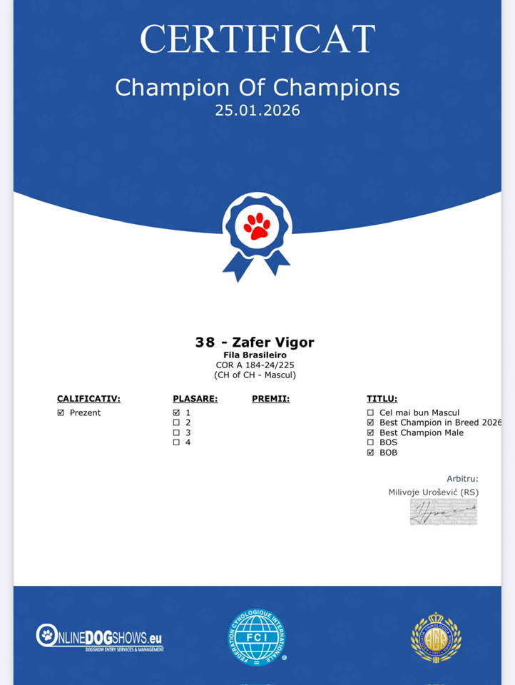 617625791_909701542007585_7229064649955784289_n