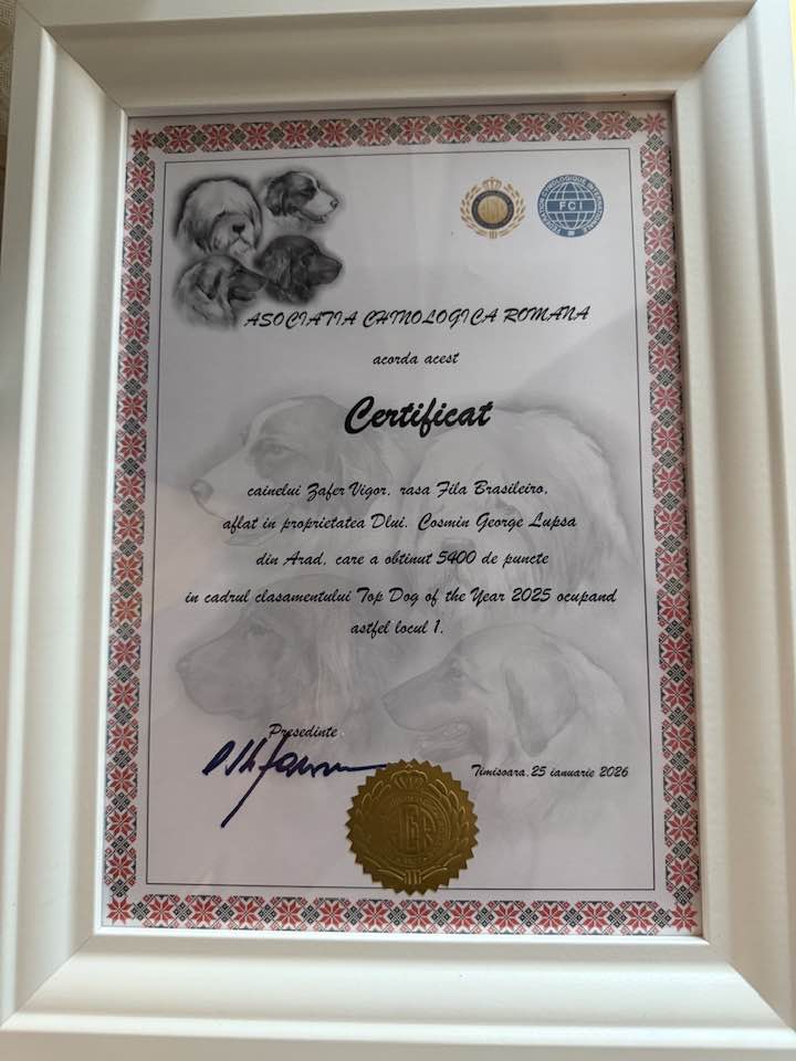 619385193_911348105176262_9012685702212697555_n