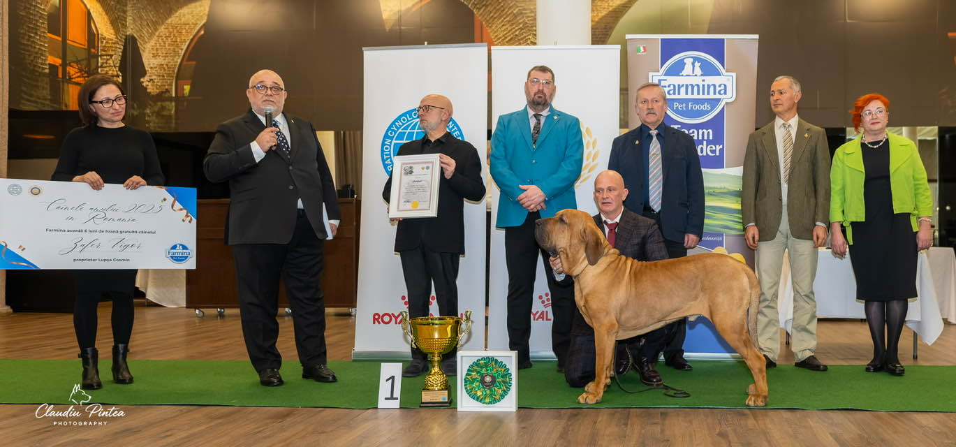 622326369_911348028509603_2229490836559524607_n