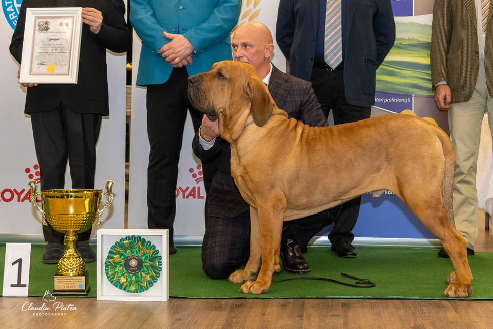 622372969_911348065176266_8478463886196575519_n