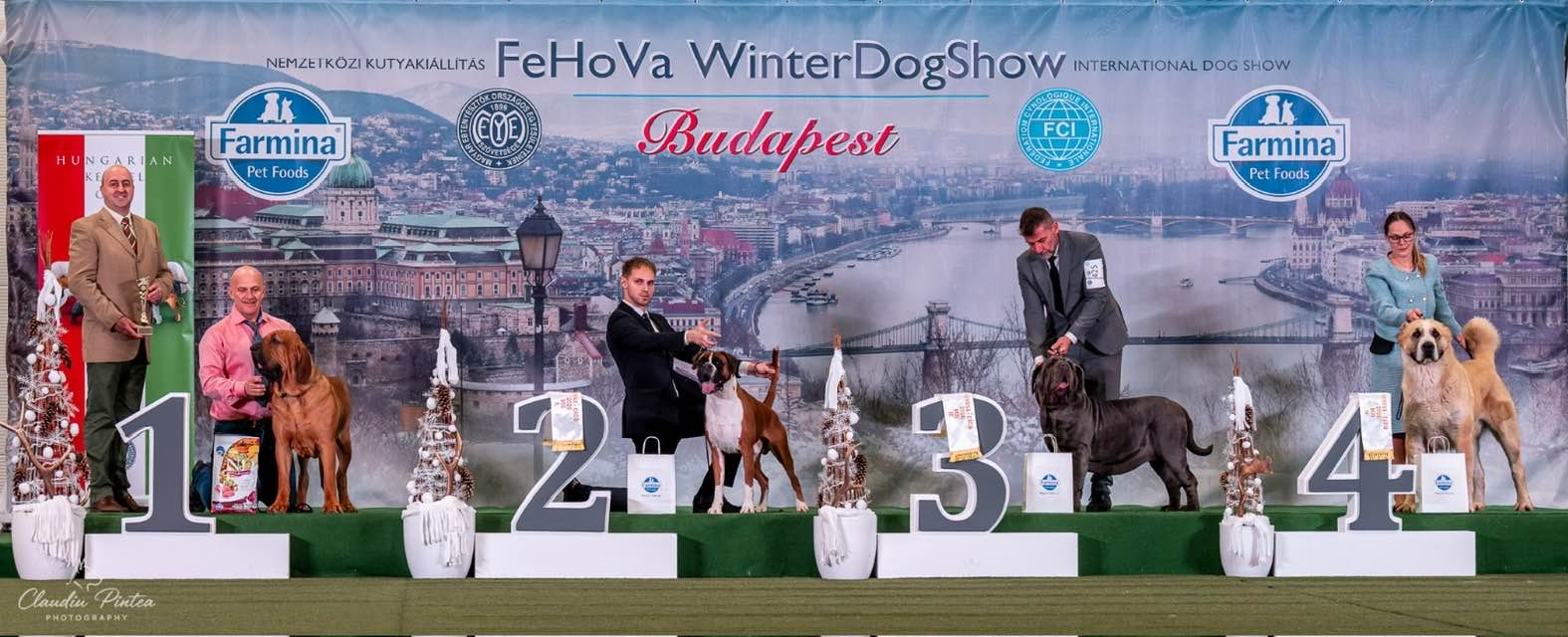 627891982_921246847519721_6960878980666266495_n