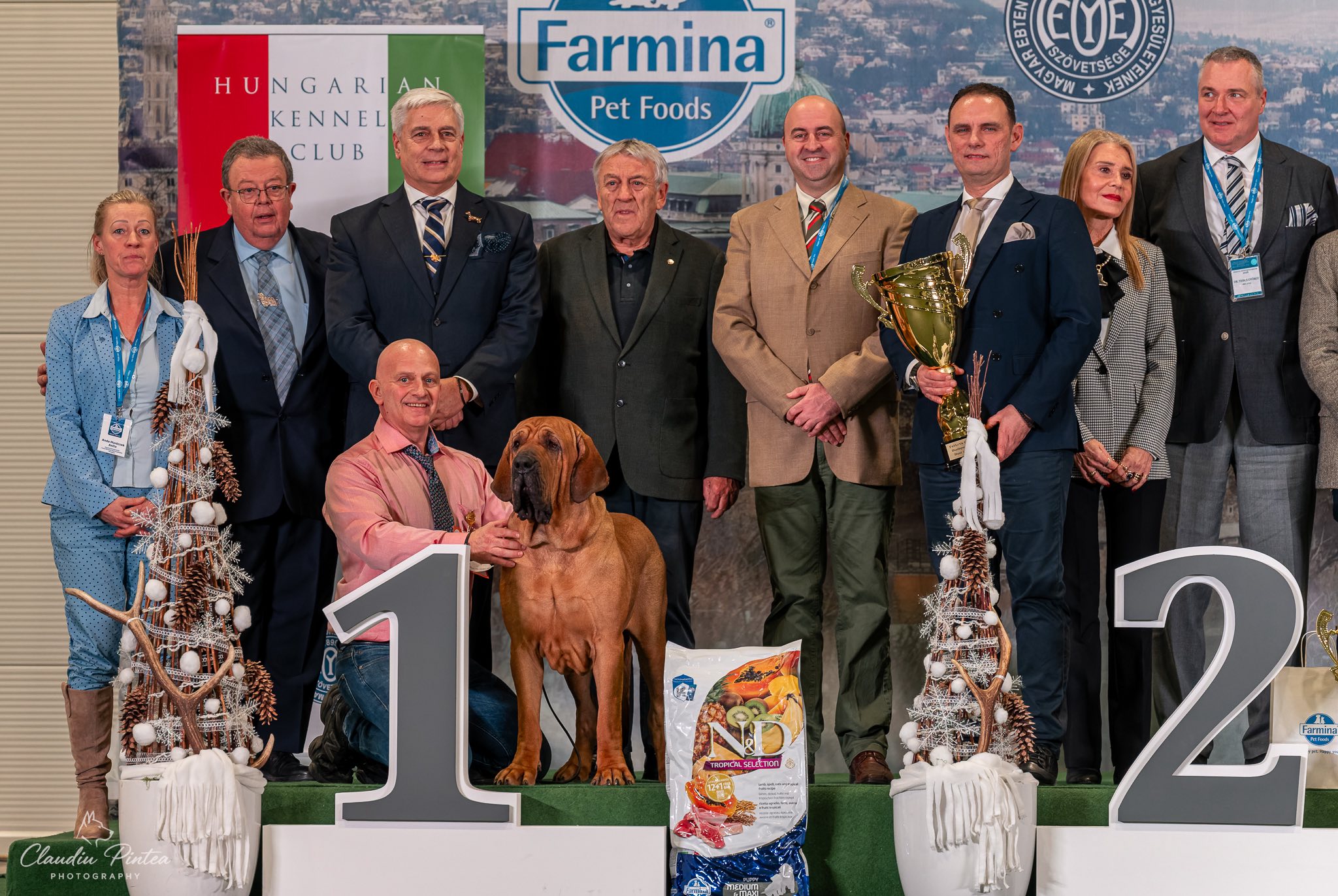 629826659_921253964185676_4440182254204201018_n