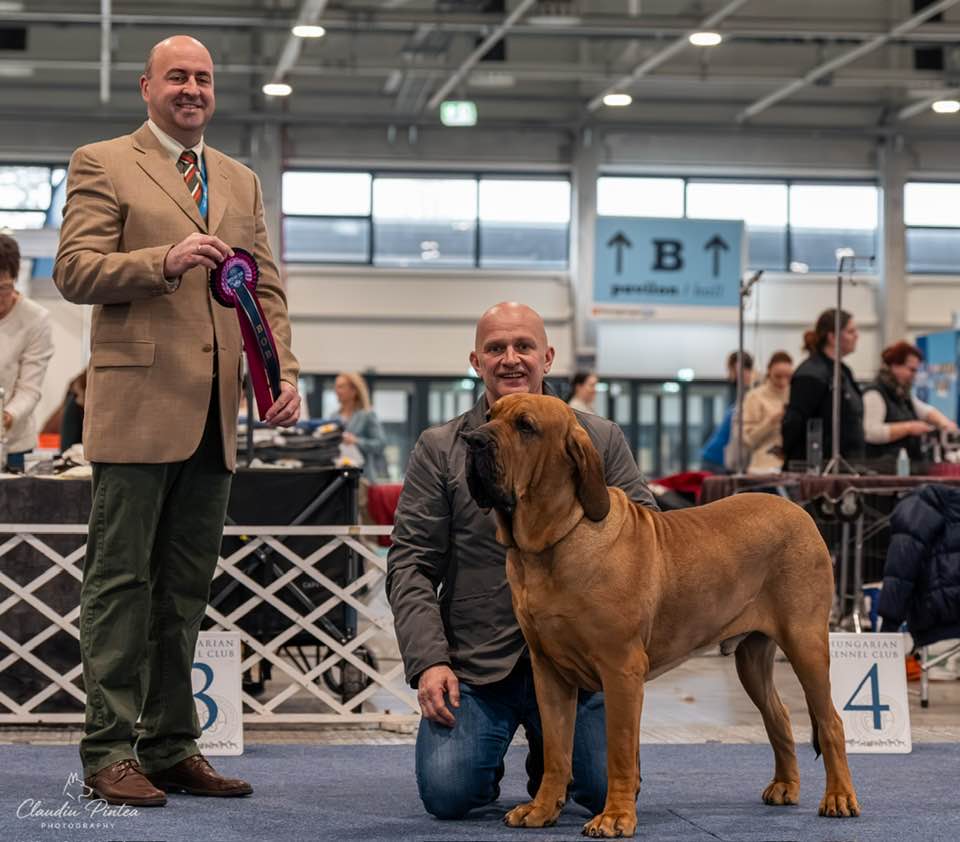 630092248_921246774186395_9050870846104477678_n