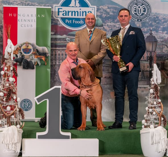 631054170_921253977519008_1822631821161427323_n