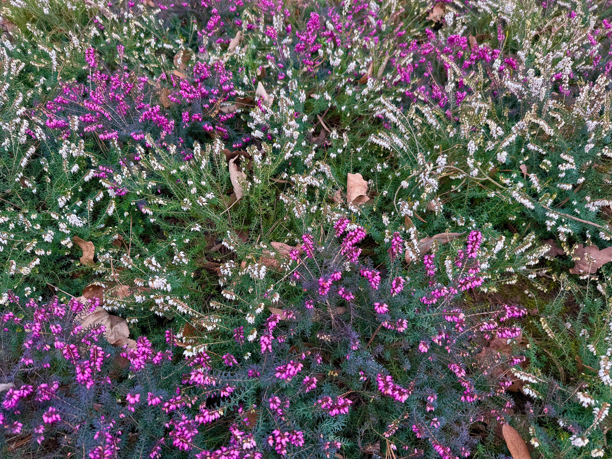 633277813_1464912245294877_1301184423223279230_n