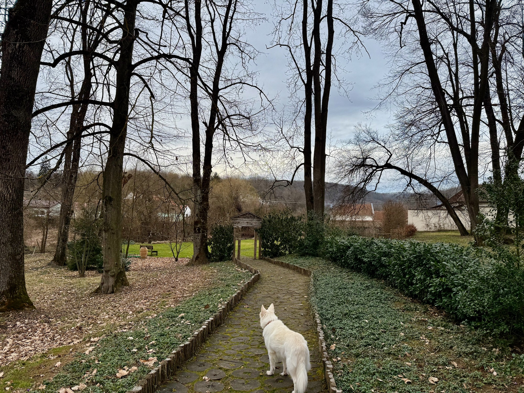 635361354_1464911875294914_3218532506230286055_n