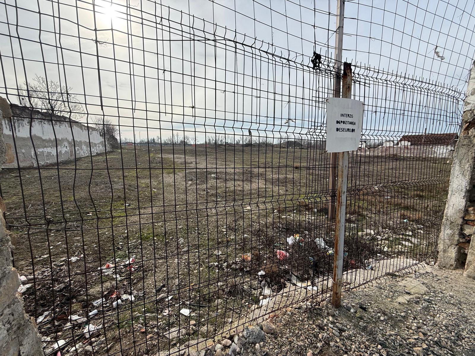 WhatsApp Image 2026-02-16 at 10.49.22 (4)