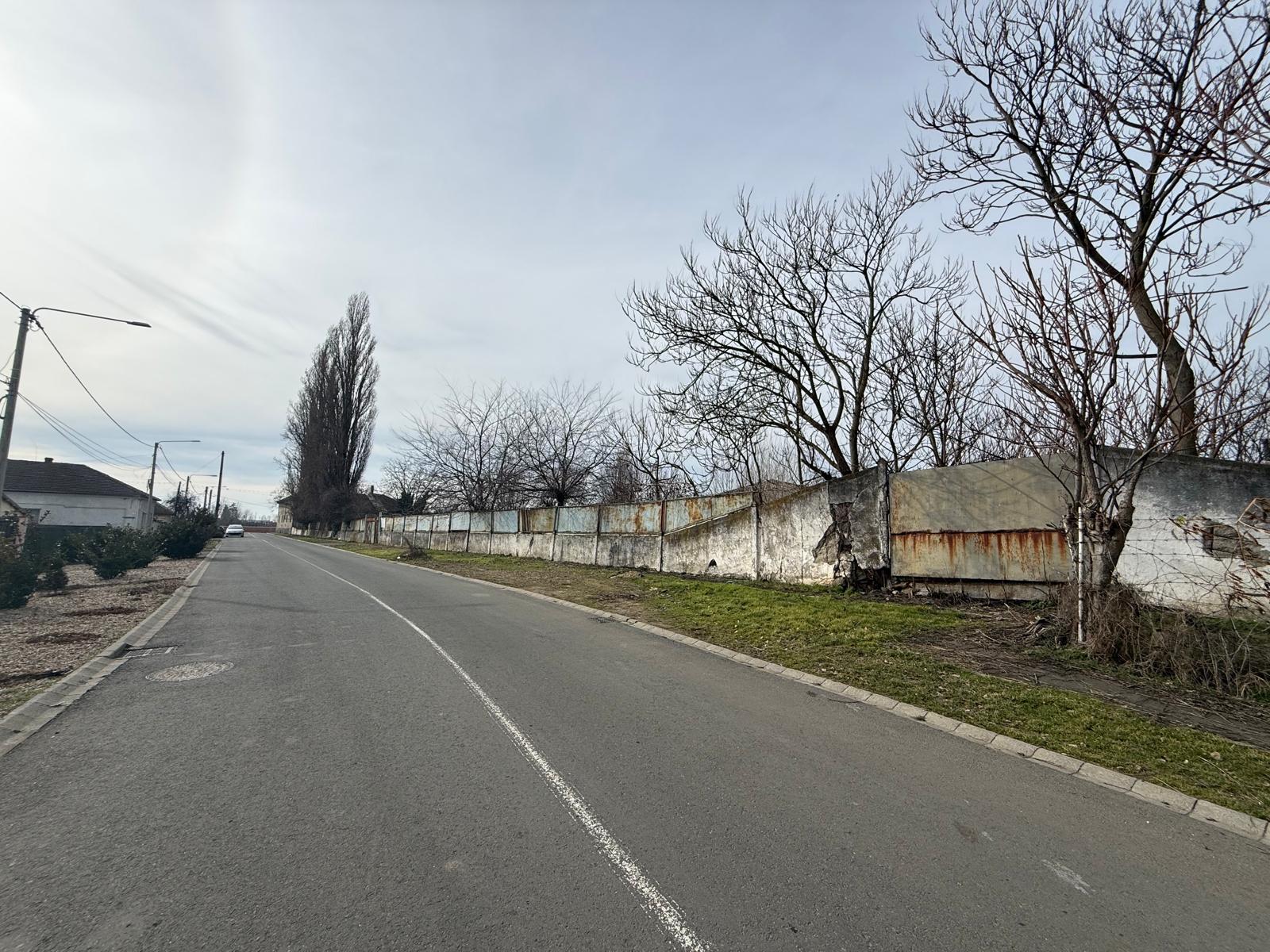 WhatsApp Image 2026-02-16 at 10.49.22 (12)