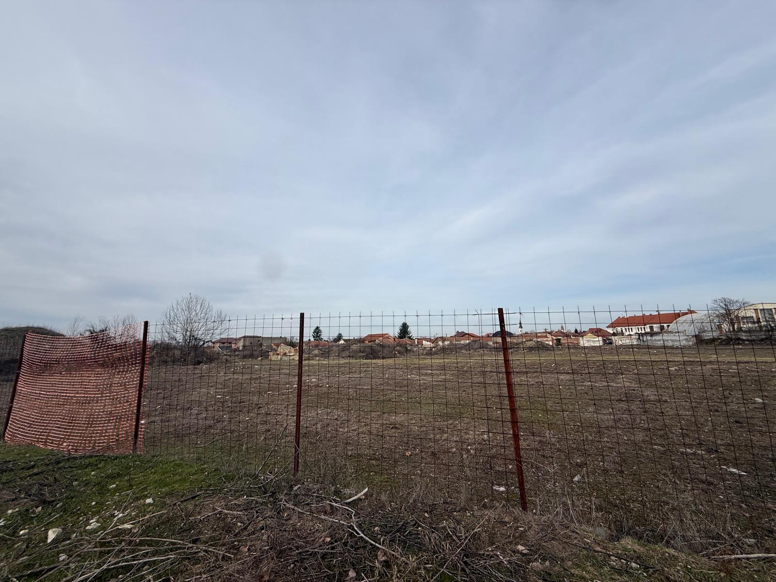 WhatsApp Image 2026-02-16 at 10.49.22 (28)