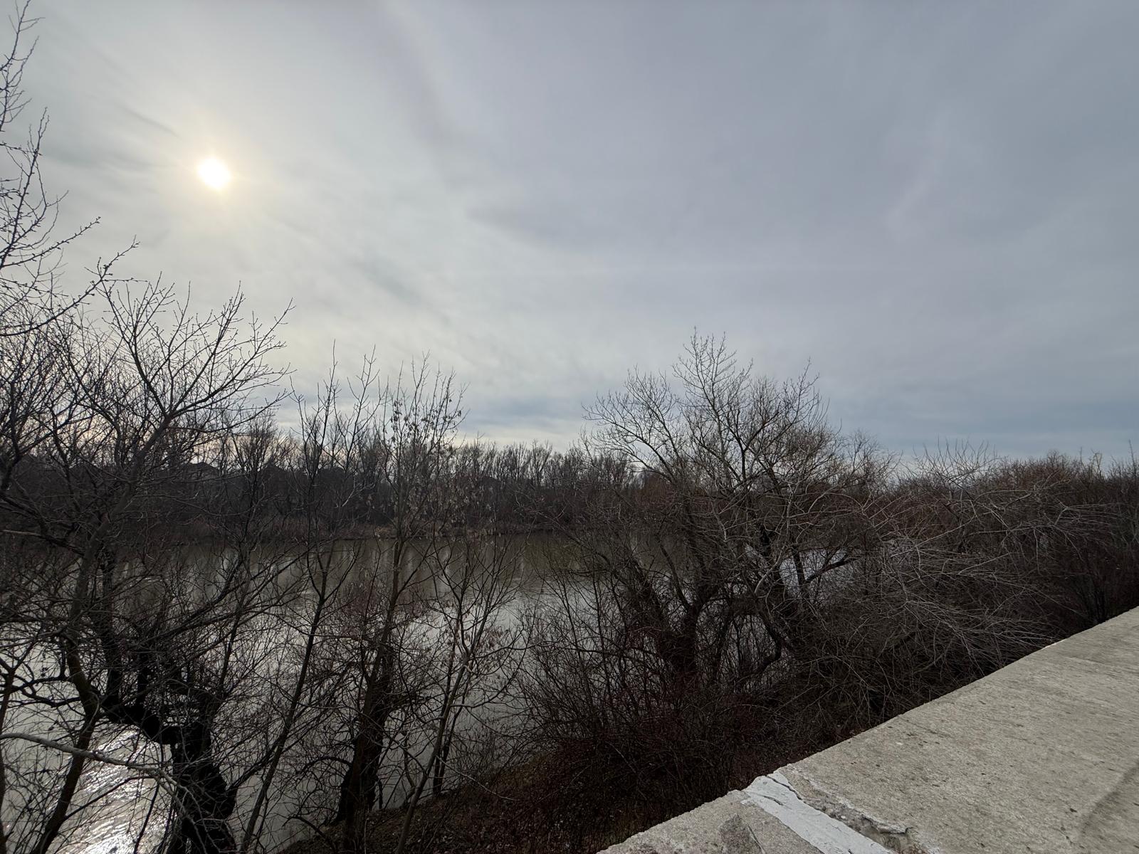 WhatsApp Image 2026-02-16 at 10.49.22 (44)