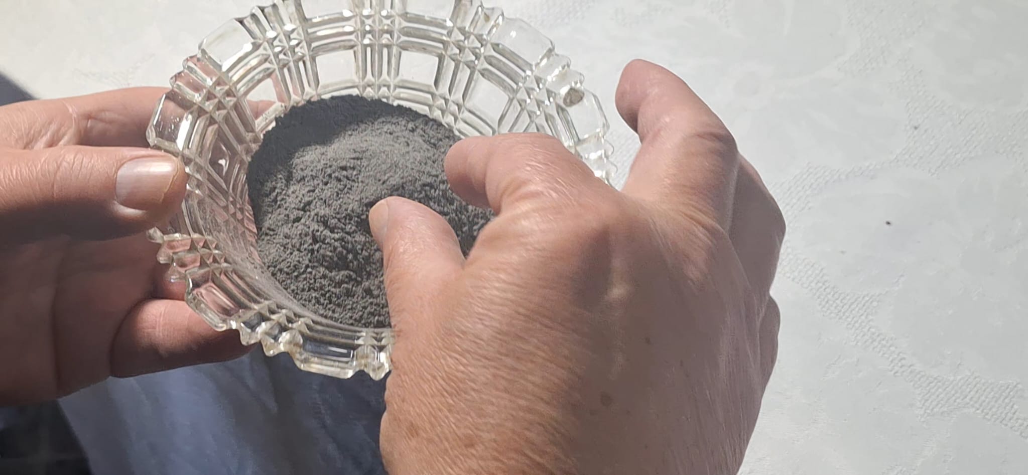 WhatsApp Image 2026-02-19 at 11.55.27 (4) - Copy