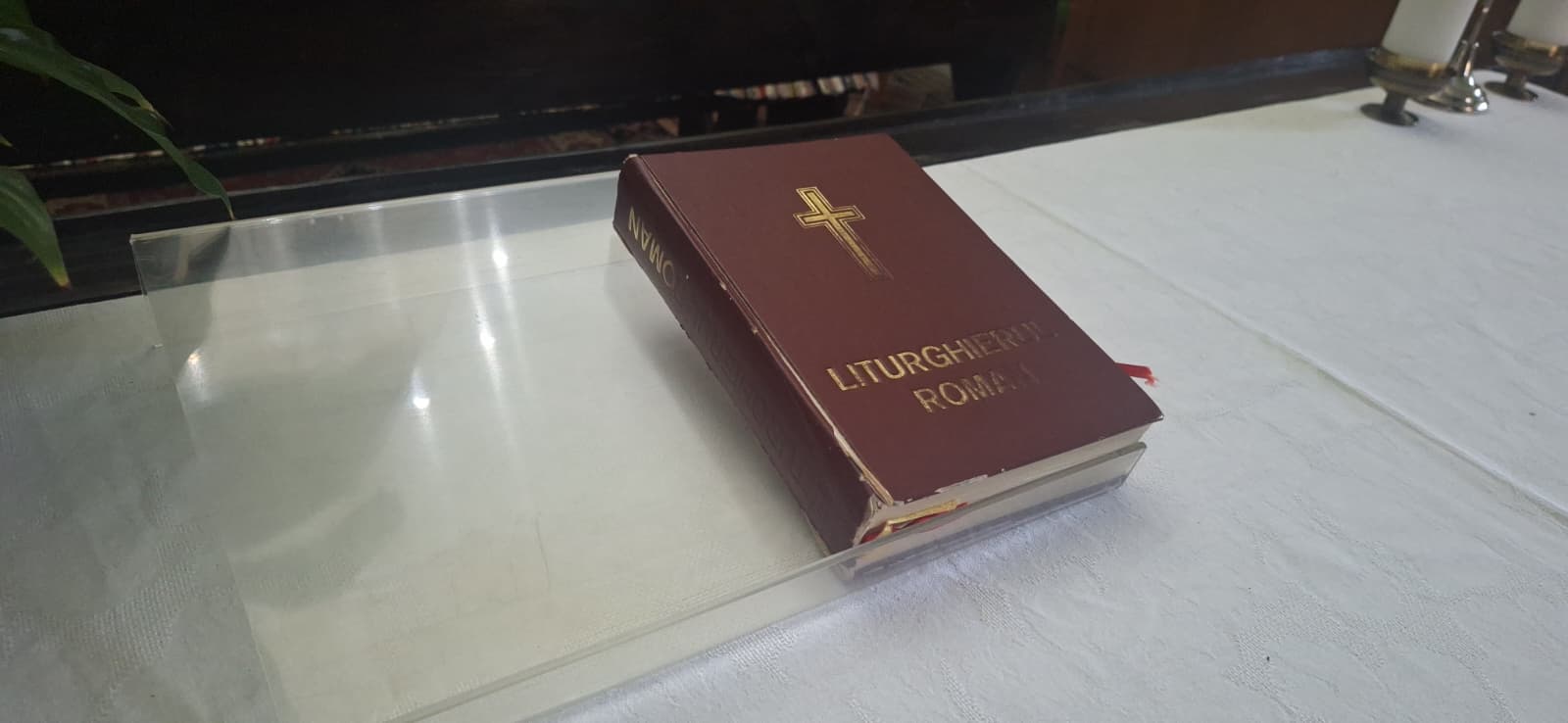 WhatsApp Image 2026-02-19 at 11.55.32 (2) - Copy