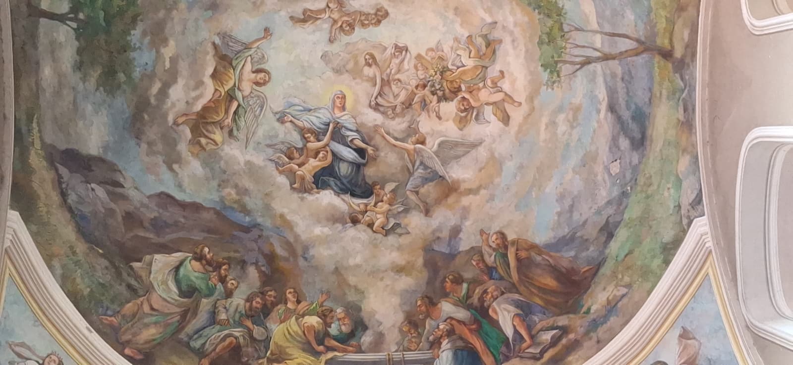 WhatsApp Image 2026-02-19 at 11.55.36 (3) - Copy