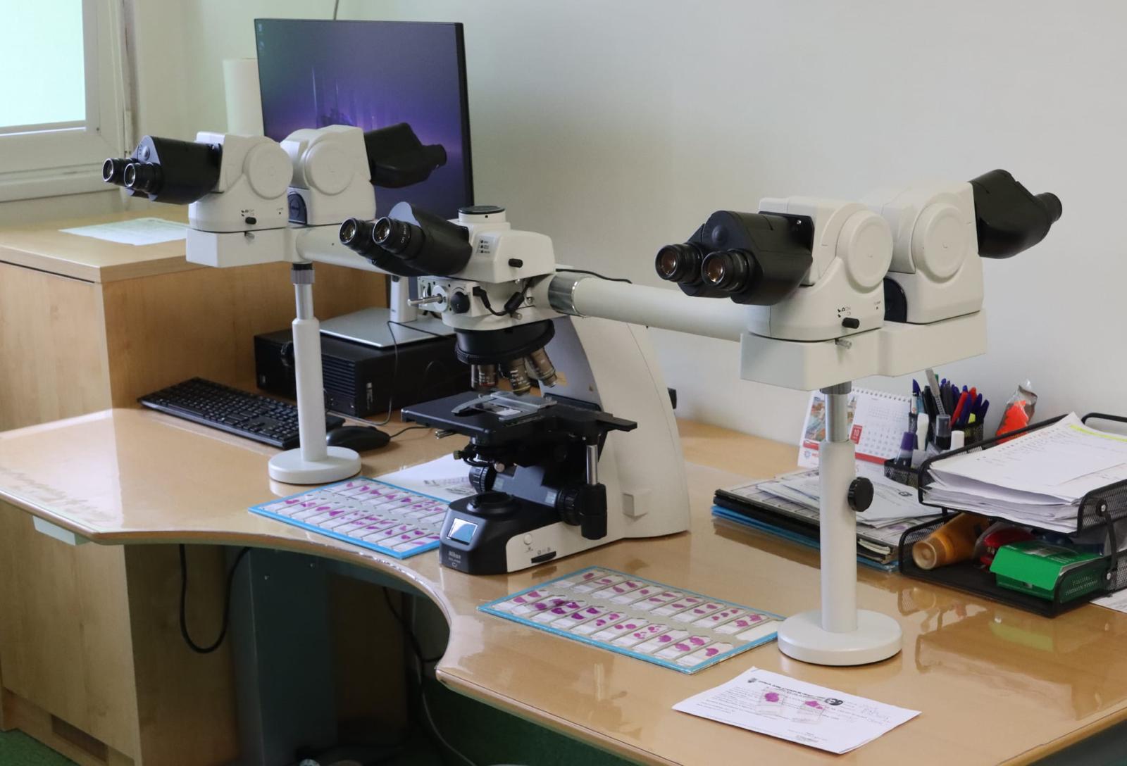 WhatsApp Image 2026-02-28 at 20.33.04 (3)