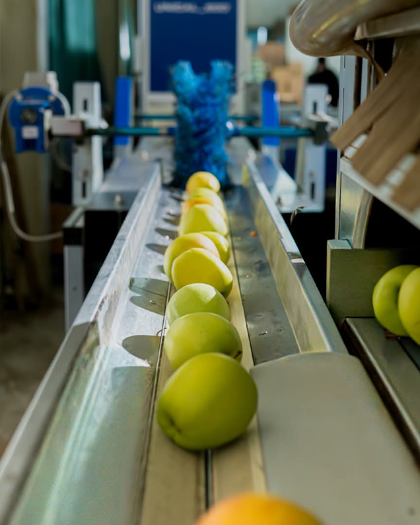 WhatsApp Image 2026-03-02 at 09.36.40 (1)