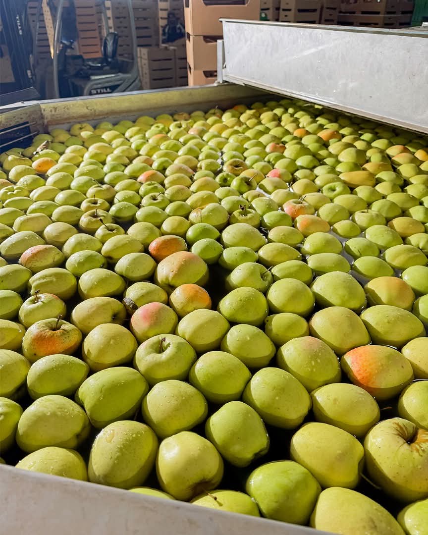 WhatsApp Image 2026-03-02 at 09.36.41 (1)