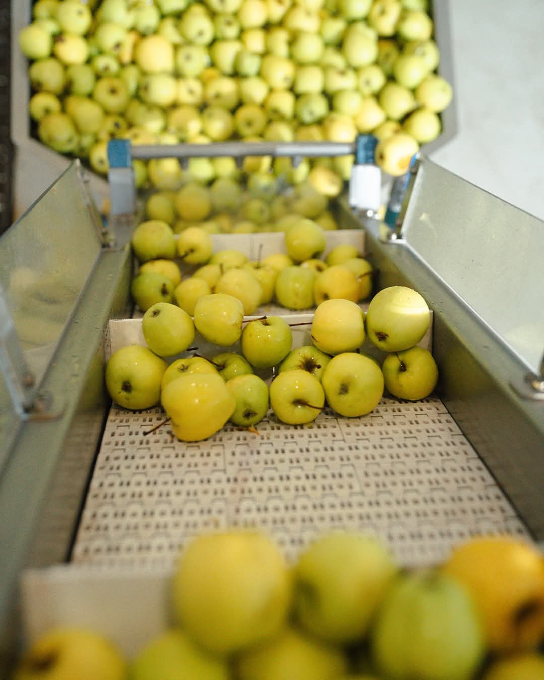 WhatsApp Image 2026-03-02 at 09.36.41 (2)