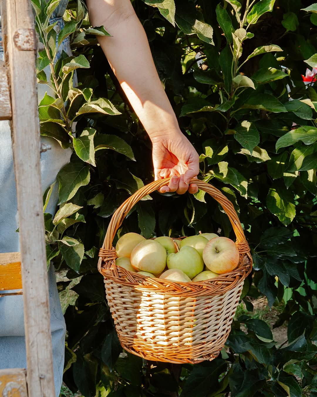 WhatsApp Image 2026-03-02 at 09.36.42 (1)