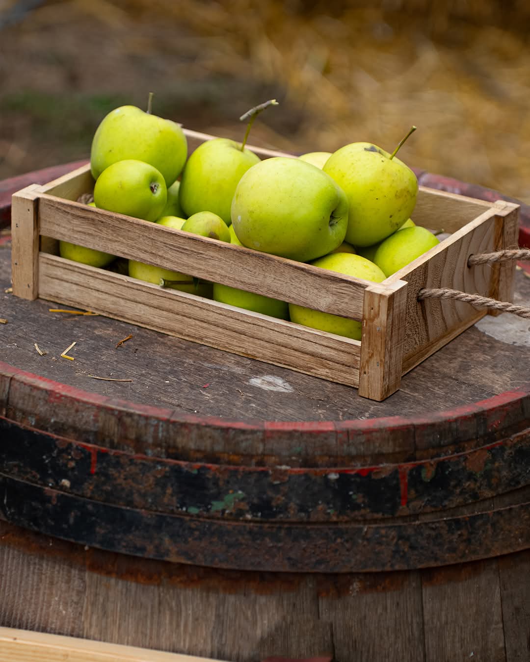 WhatsApp Image 2026-03-02 at 09.36.42 (2)