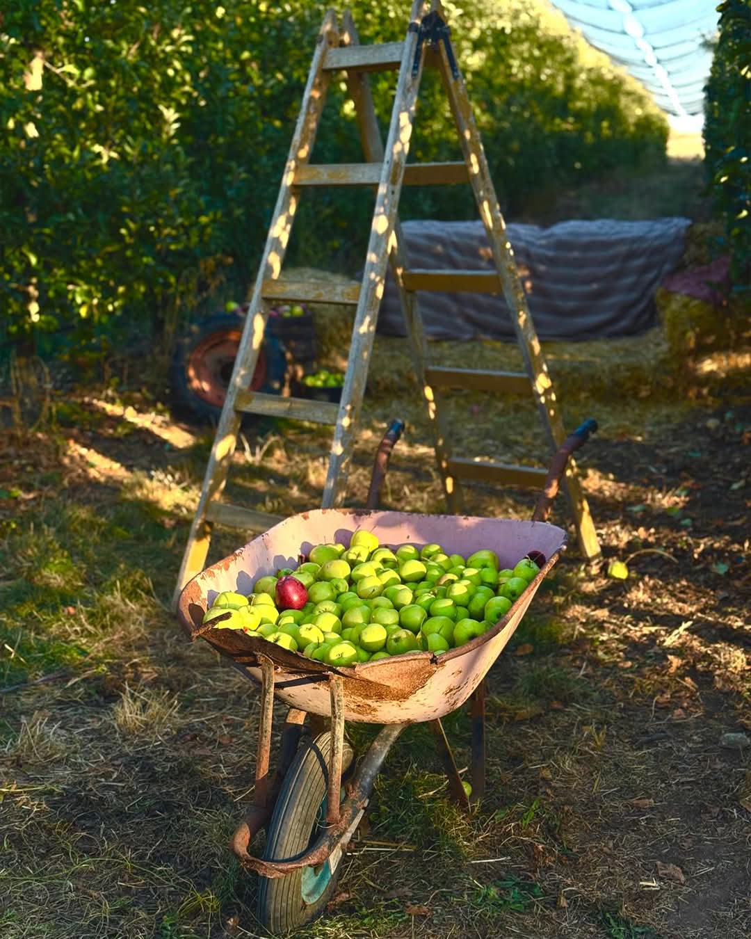 WhatsApp Image 2026-03-02 at 09.36.42