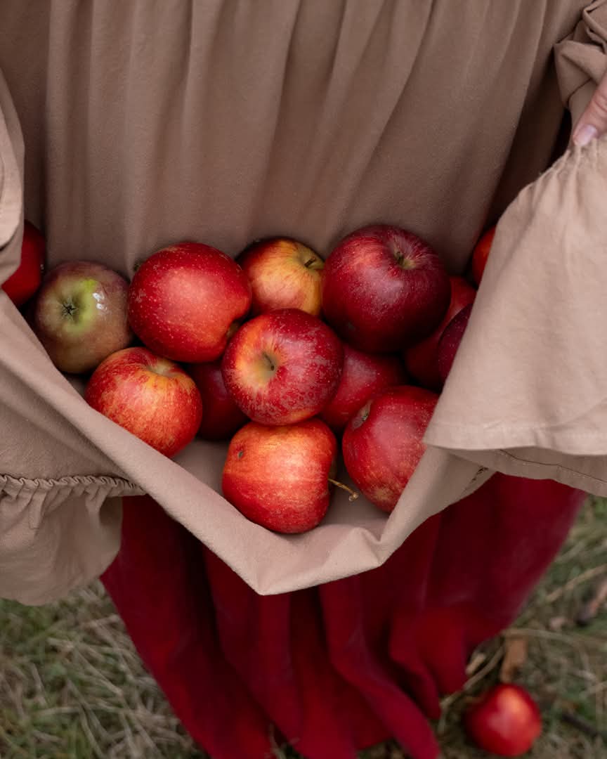 WhatsApp Image 2026-03-02 at 09.36.43 (1)