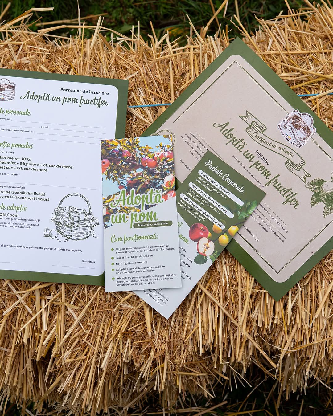 WhatsApp Image 2026-03-02 at 09.36.43 (2)