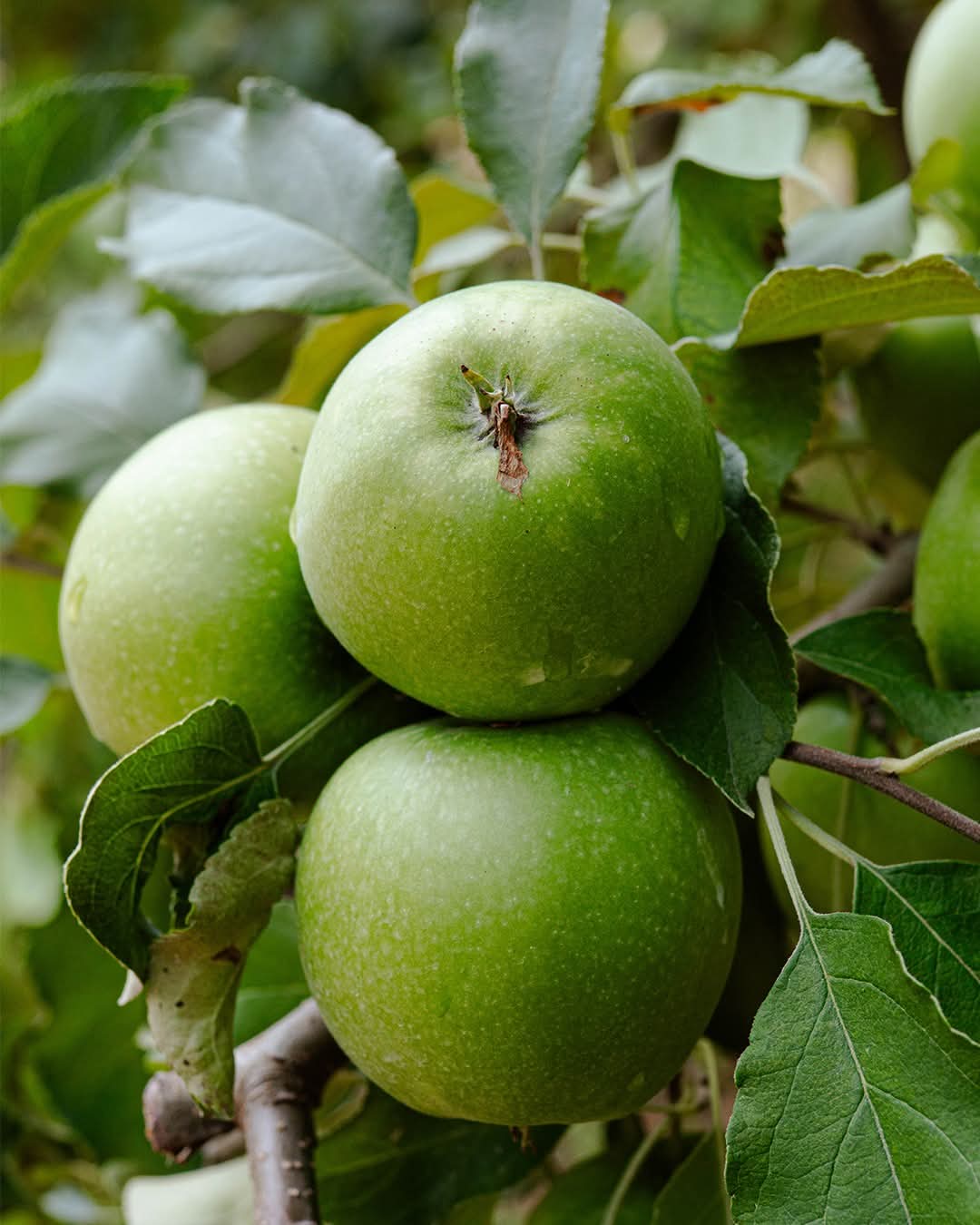 WhatsApp Image 2026-03-02 at 09.36.43 (3)