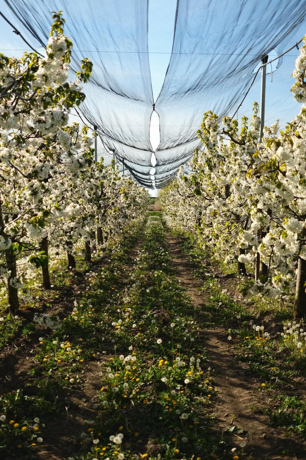 WhatsApp Image 2026-03-02 at 09.36.43 (4)