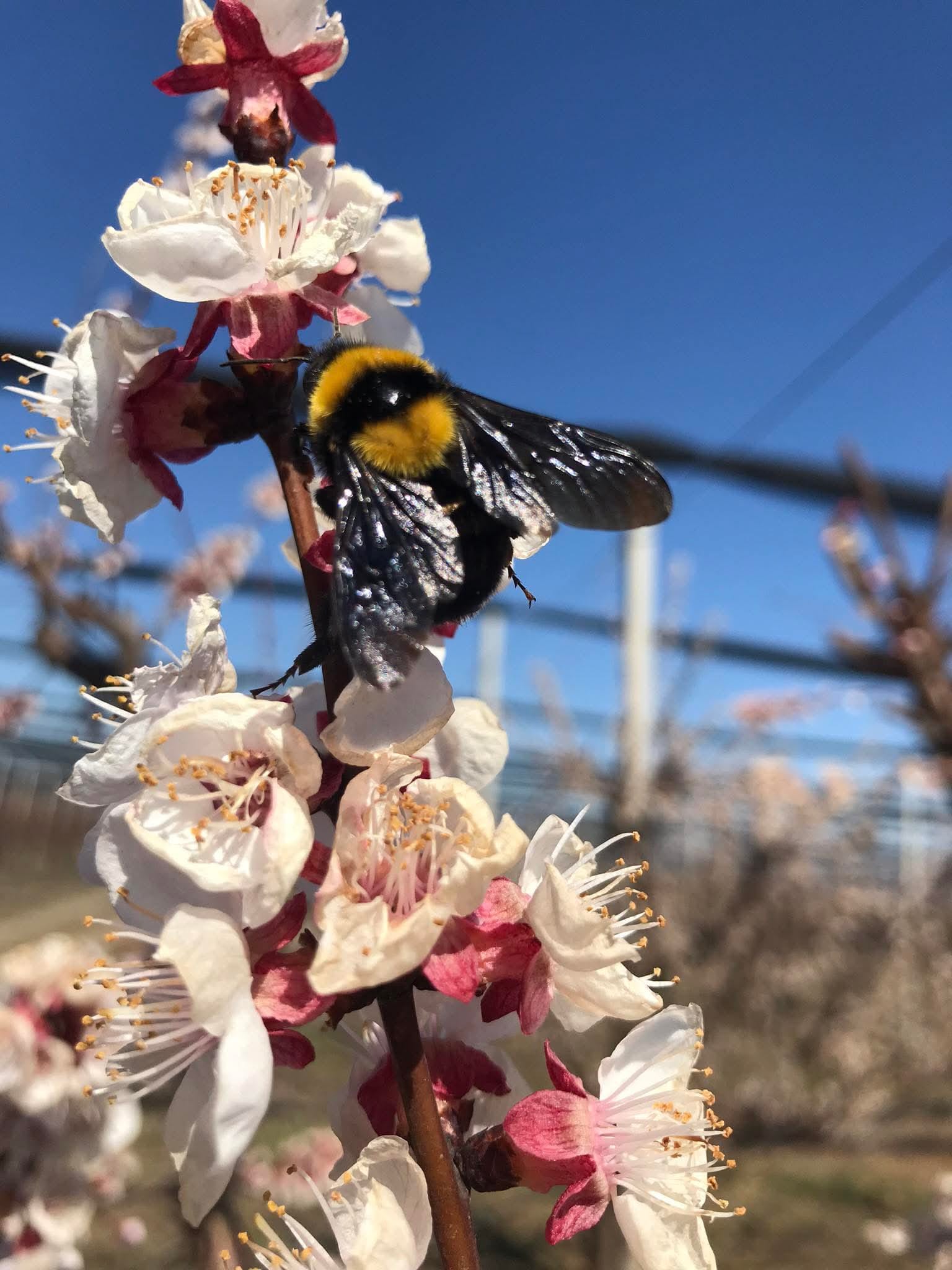 WhatsApp Image 2026-03-02 at 09.36.43 (5)