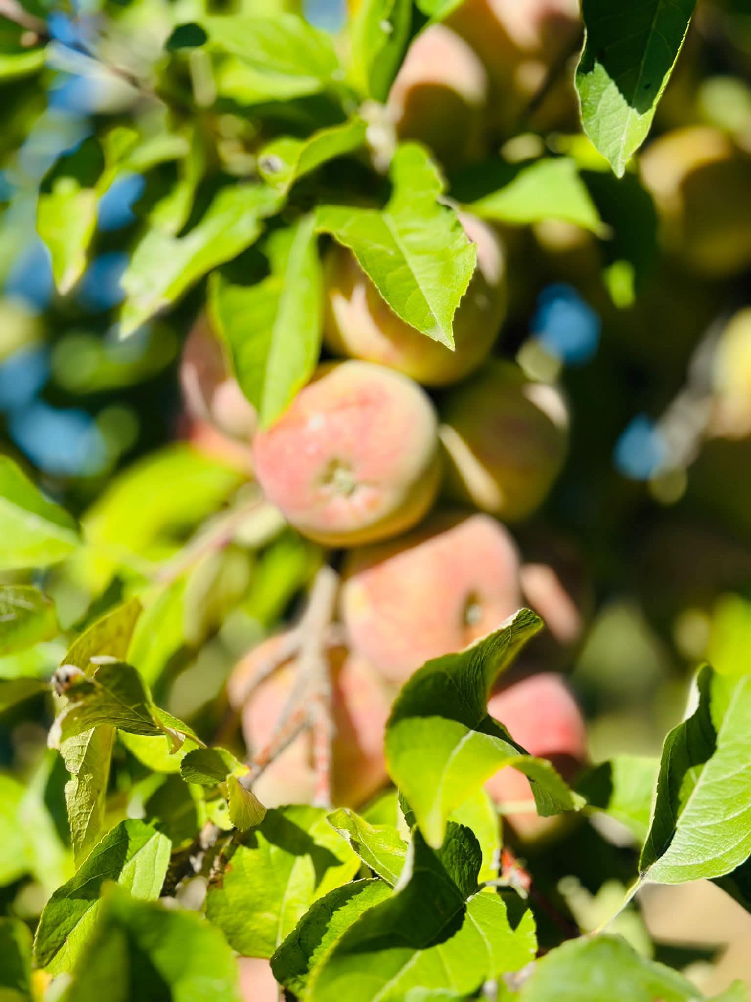 WhatsApp Image 2026-03-02 at 09.36.43 (6)