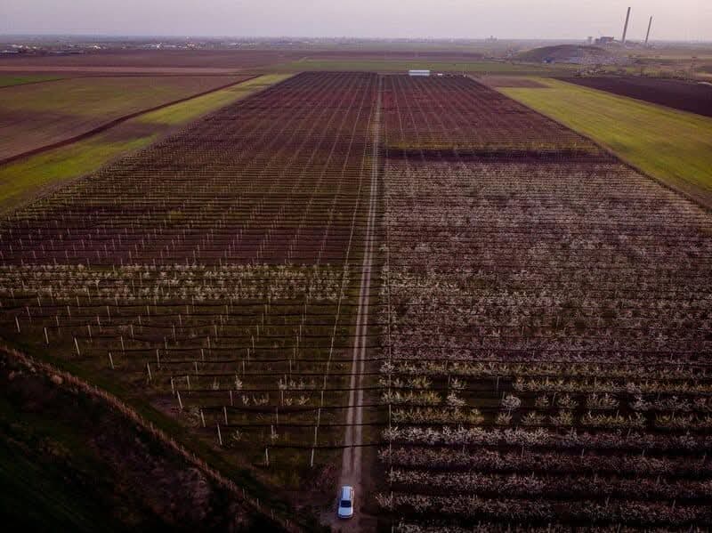 WhatsApp Image 2026-03-02 at 09.36.43 (7)