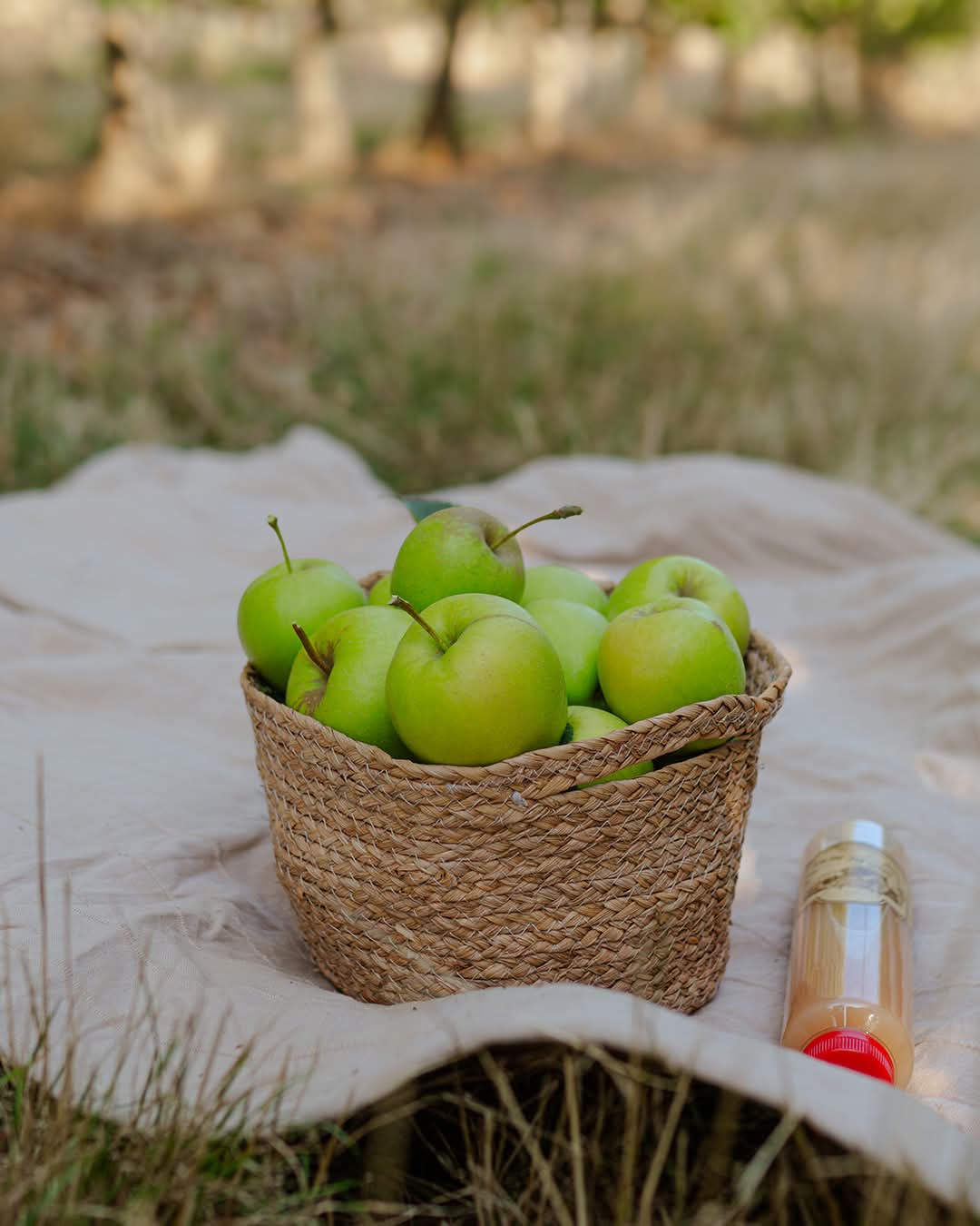 WhatsApp Image 2026-03-02 at 09.36.43