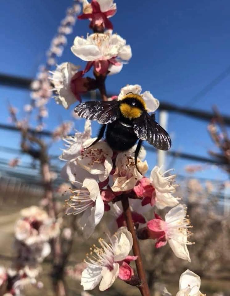 WhatsApp Image 2026-03-02 at 09.36.44 (1)