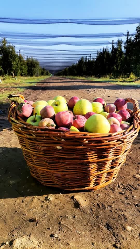 WhatsApp Image 2026-03-02 at 09.36.44 (3)