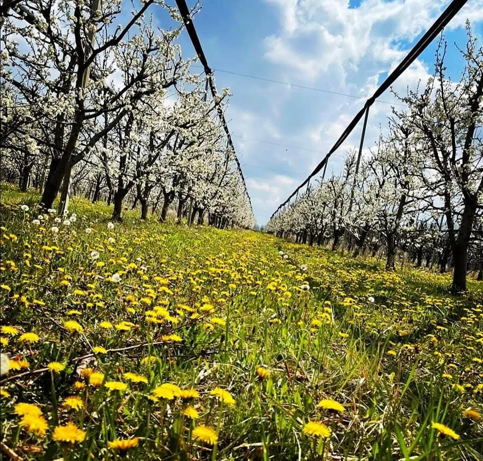 WhatsApp Image 2026-03-02 at 09.36.44 (5)