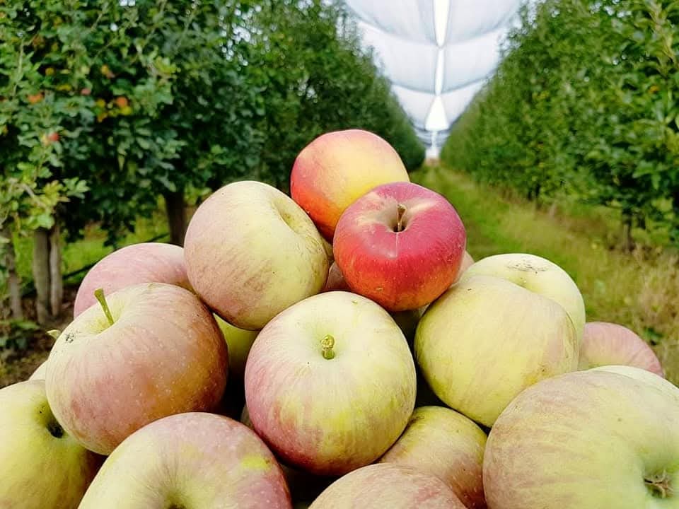 WhatsApp Image 2026-03-02 at 09.36.44 (6)