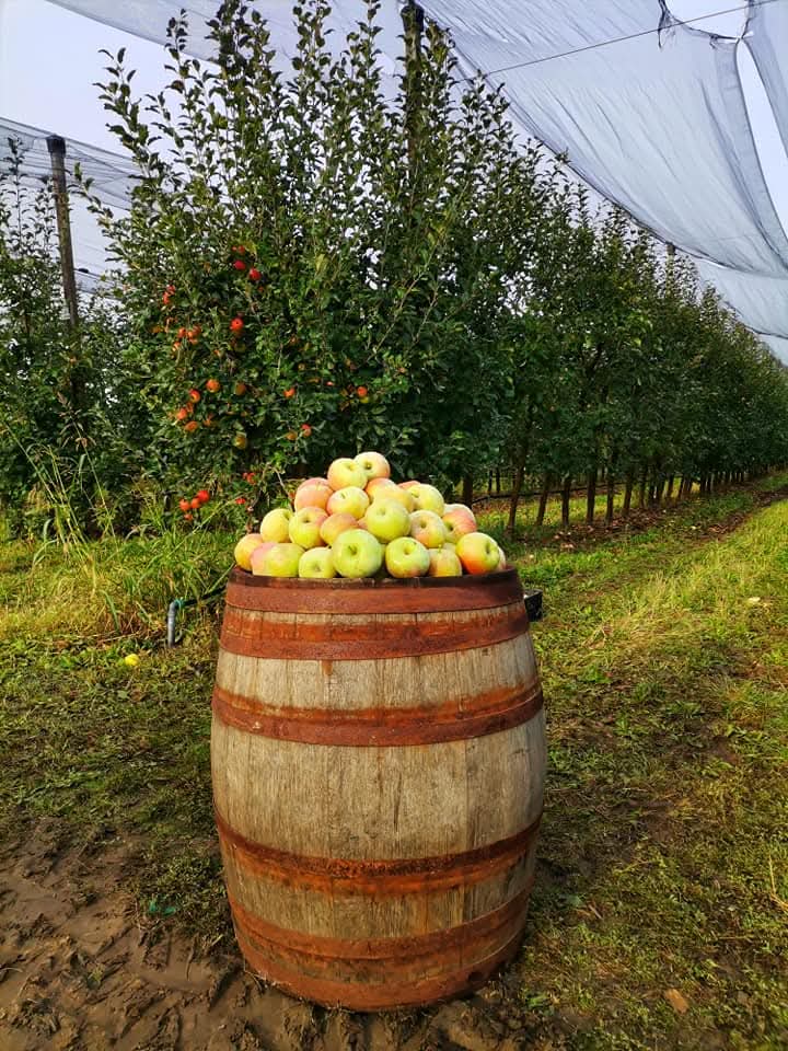 WhatsApp Image 2026-03-02 at 09.36.44 (7)