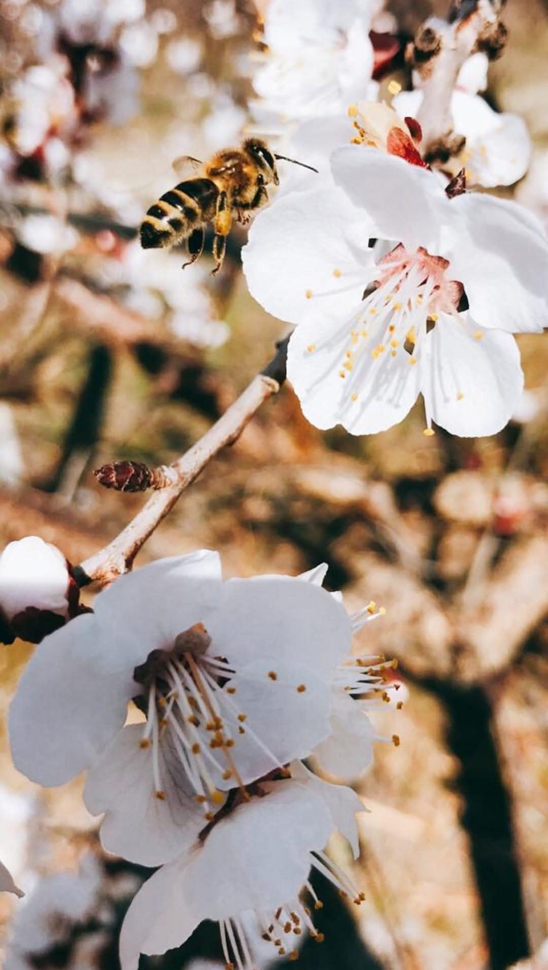 WhatsApp Image 2026-03-02 at 09.36.44 (8)