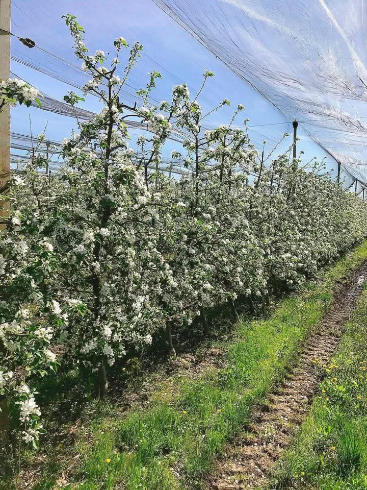 WhatsApp Image 2026-03-02 at 09.36.45 (1)