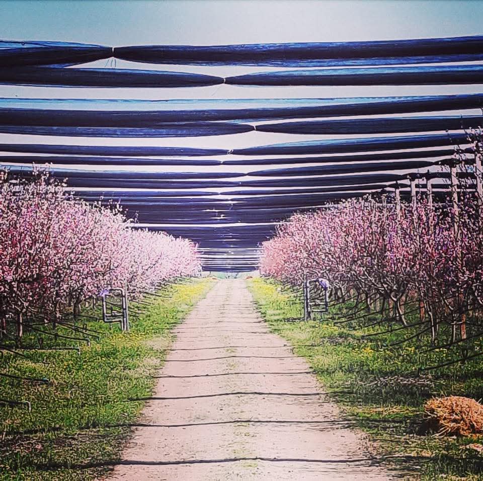 WhatsApp Image 2026-03-02 at 09.36.45 (2)