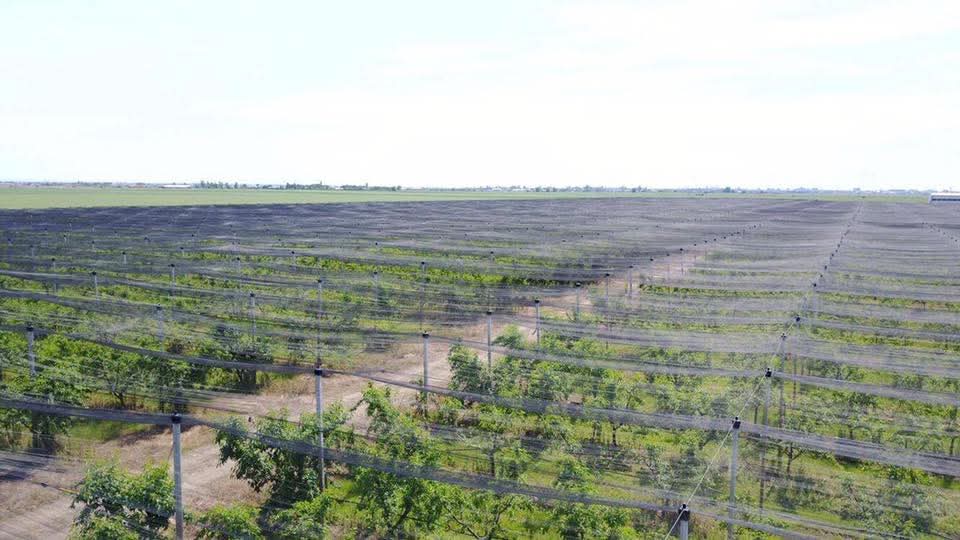 WhatsApp Image 2026-03-02 at 09.36.45 (3)