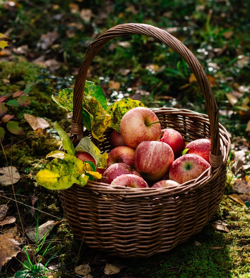 WhatsApp Image 2026-03-02 at 09.36.45 (4)